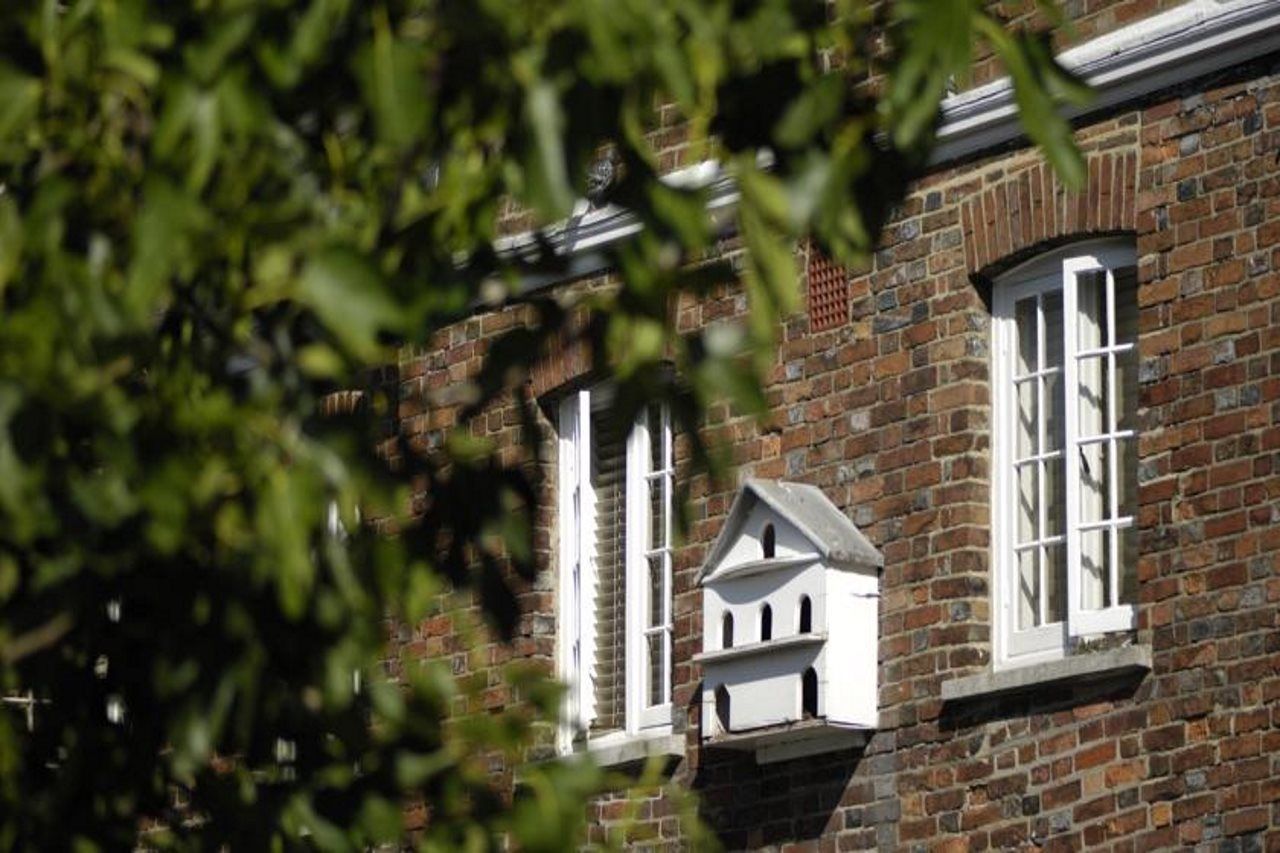 Pelham House Bed & Breakfast Lewes Dış mekan fotoğraf